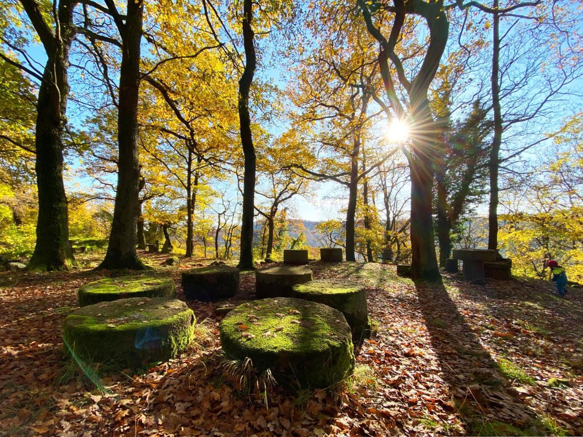 Burghof Kyffhaeuser Bad Frankenhausen Exteriör bild