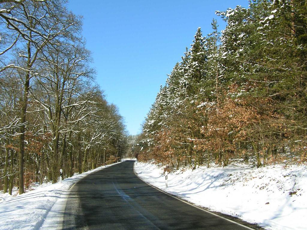Burghof Kyffhaeuser Bad Frankenhausen Exteriör bild