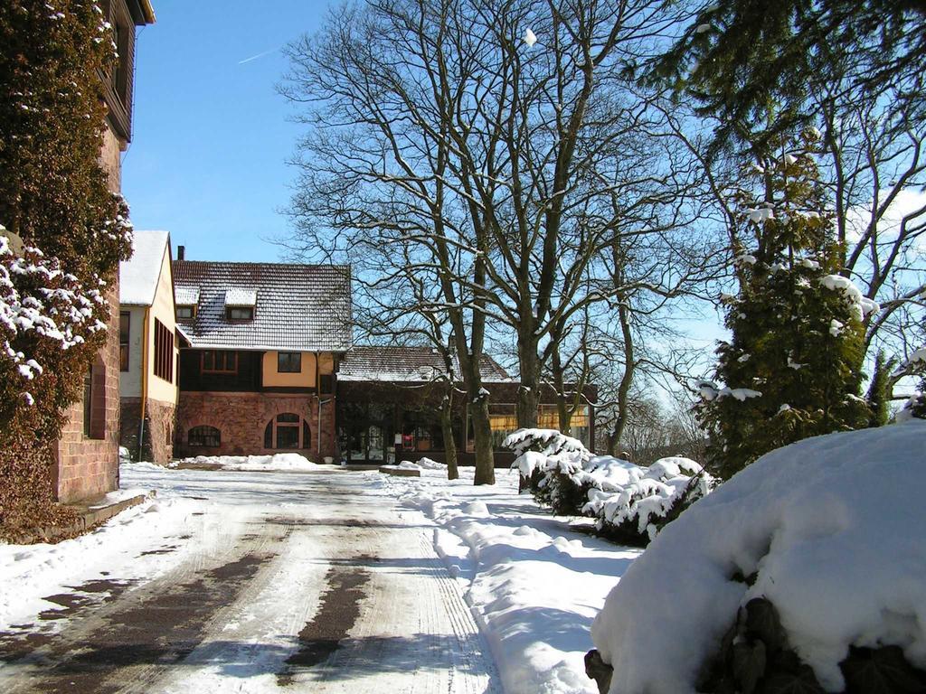 Burghof Kyffhaeuser Bad Frankenhausen Exteriör bild